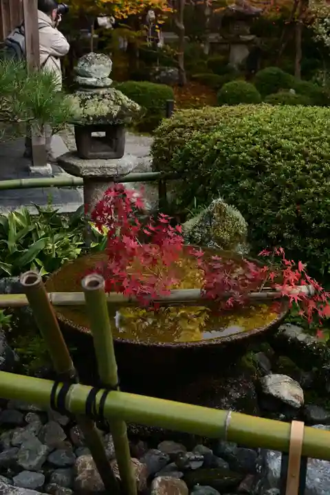 圓光寺(京都府)