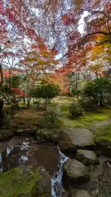 栖賢寺(京都府)