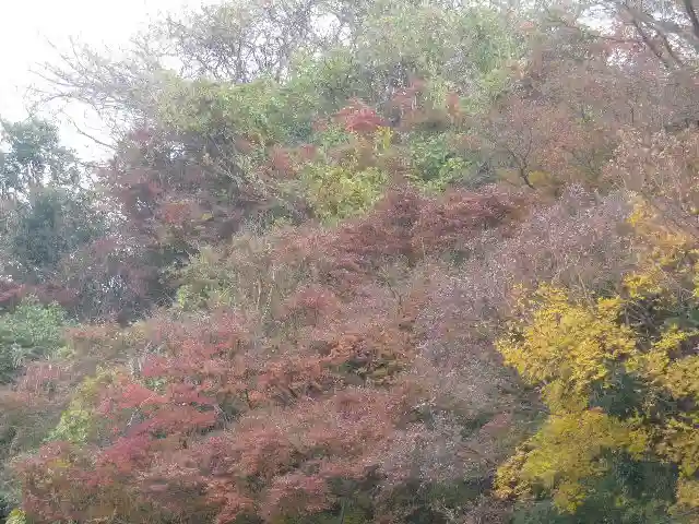 東勝寺跡の自然