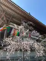 西新井大師総持寺の自然