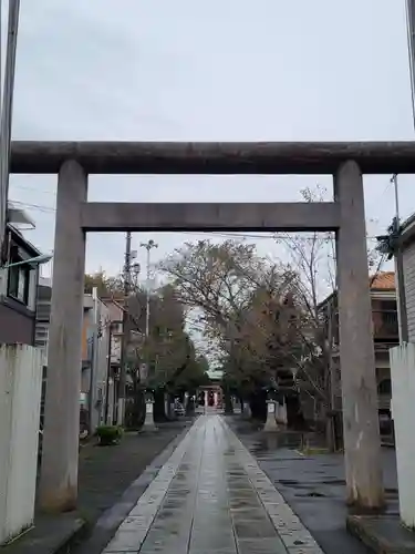 池袋氷川神社の鳥居