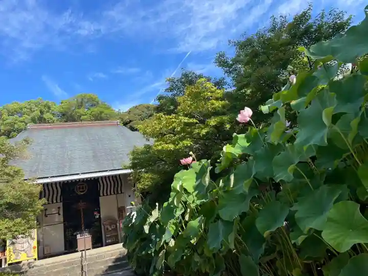 伊勢の国 四天王寺(三重県)