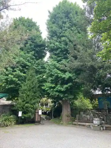 安楽院(神奈川県)