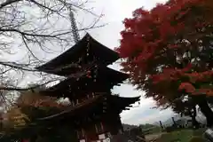 岡寺（龍蓋寺）の塔