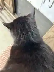 岡部春日神社～👹鬼門よけの🌺花咲く🌺やしろ～の動物