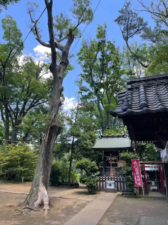 千束八幡神社(東京都)
