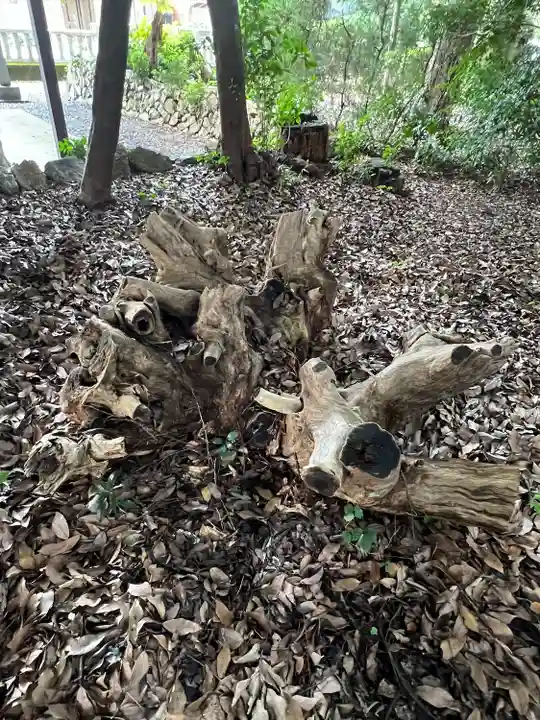 手力雄神社(岐阜県)