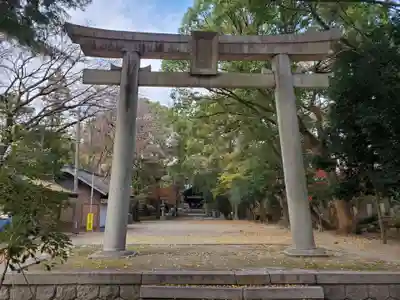 矢作神社の鳥居