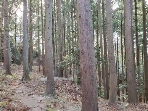 岩角山 岩角寺の自然
