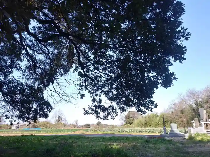 愛宕神社の自然