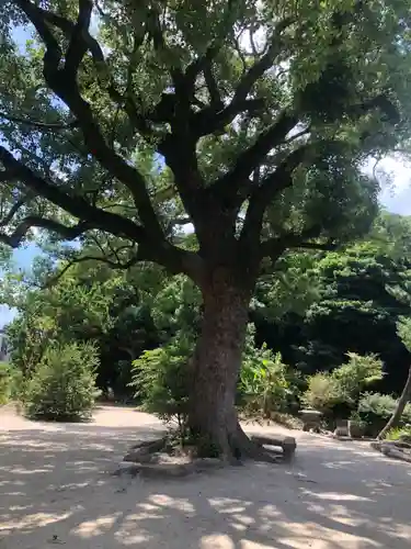 興徳寺(福岡県)