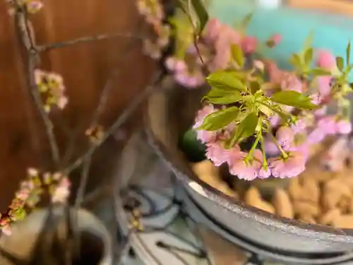 多賀神社の自然