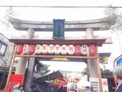 京都ゑびす神社の鳥居