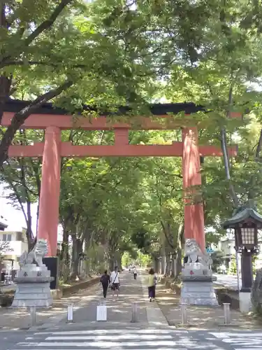 武蔵一宮氷川神社の鳥居