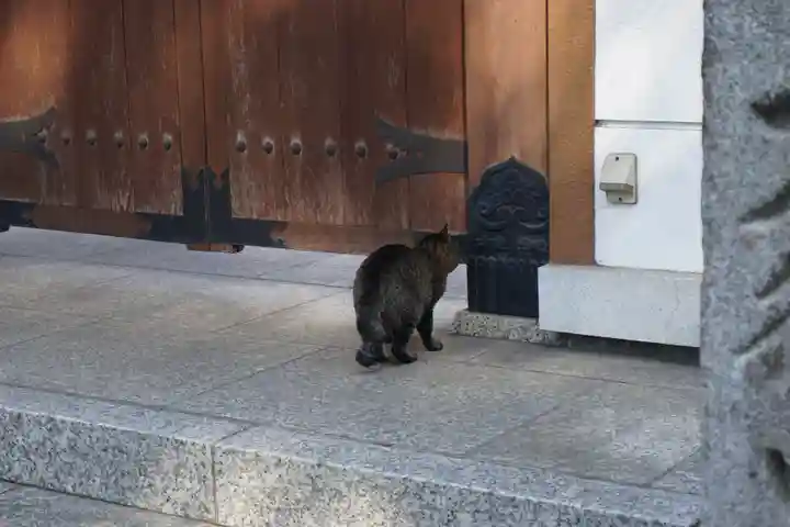 稲園山 七寺の動物
