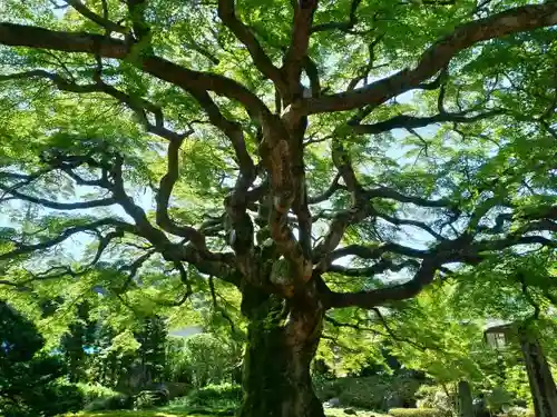 西善寺のその他建物