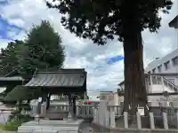 鹿沼今宮神社(栃木県)