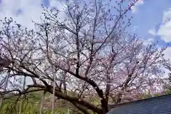 春日神社の庭園