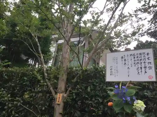 明月院(神奈川県)