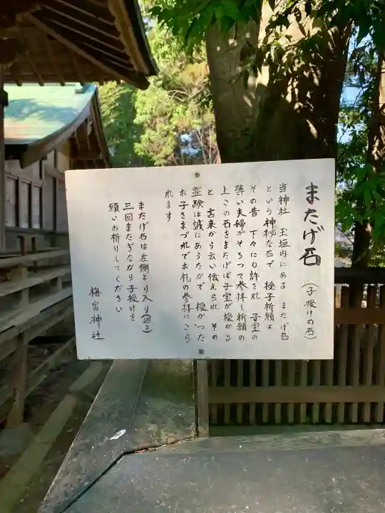 梅宮神社の{uncategorized: "未分類", other: "その他", undefined: "問題あり", building: "その他建物", grave: "お墓", sacred_gate: "鳥居", guardian: "狛犬", statue: "像", buddha: "仏像", history: "歴史", nature: "自然", garden: "庭園", animal: "動物", pagoda: "塔", temizu: "手水舎", mountain_gate: "山門・神門", sanctuary: "本殿・本堂", subordinate: "末社・摂社", art: "芸術", scenery: "景色", jizo: "地蔵", ema: "絵馬", goshuin: "御朱印", omikuji: "おみくじ", items: "授与品その他", amulet: "お守り", goshuincho: "御朱印帳", eats: "食事", festival: "お祭り", votive_dance: "神楽", shichigosan: "七五三参", wedding: "結婚式", experience: "体験その他", initially: "初詣", around: "周辺", anti_infection: "感染症対策"}