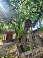 西光寺(福島県)