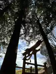 子檀嶺神社(長野県)