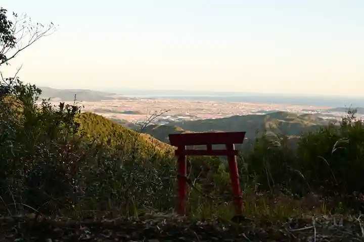 地主神社(桑の川の鳥居杉)(高知県)