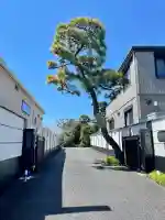 貞源寺の{uncategorized: "未分類", other: "その他", undefined: "問題あり", building: "その他建物", grave: "お墓", sacred_gate: "鳥居", guardian: "狛犬", statue: "像", buddha: "仏像", history: "歴史", nature: "自然", garden: "庭園", animal: "動物", pagoda: "塔", temizu: "手水舎", mountain_gate: "山門・神門", sanctuary: "本殿・本堂", subordinate: "末社・摂社", art: "芸術", scenery: "景色", jizo: "地蔵", ema: "絵馬", goshuin: "御朱印", omikuji: "おみくじ", items: "授与品その他", amulet: "お守り", goshuincho: "御朱印帳", eats: "食事", festival: "お祭り", votive_dance: "神楽", shichigosan: "七五三参", wedding: "結婚式", experience: "体験その他", initially: "初詣", around: "周辺", anti_infection: "感染症対策"}