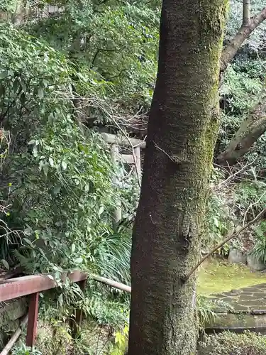 伊勢山皇大神宮(神奈川県)