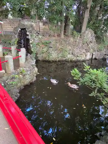世田谷八幡宮の庭園
