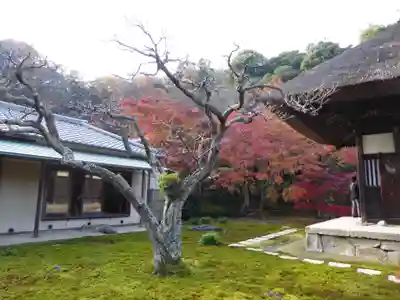 東慶寺(神奈川県)
