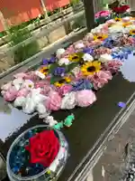 前玉神社の手水舎