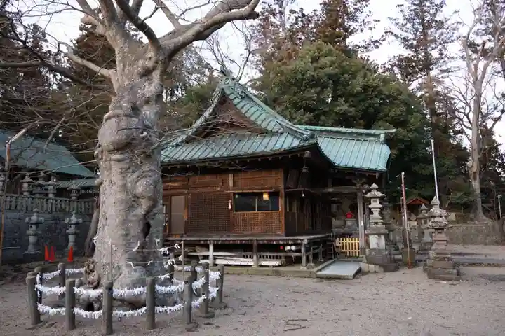 安達太良神社の景色
