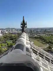 長壁神社の狛犬