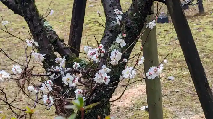 長岡天満宮(京都府)
