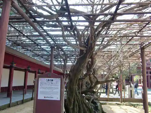 笠間稲荷神社の庭園