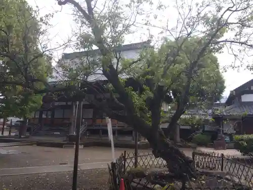 本興寺(福井県)