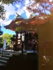 青山熊野神社(東京都)