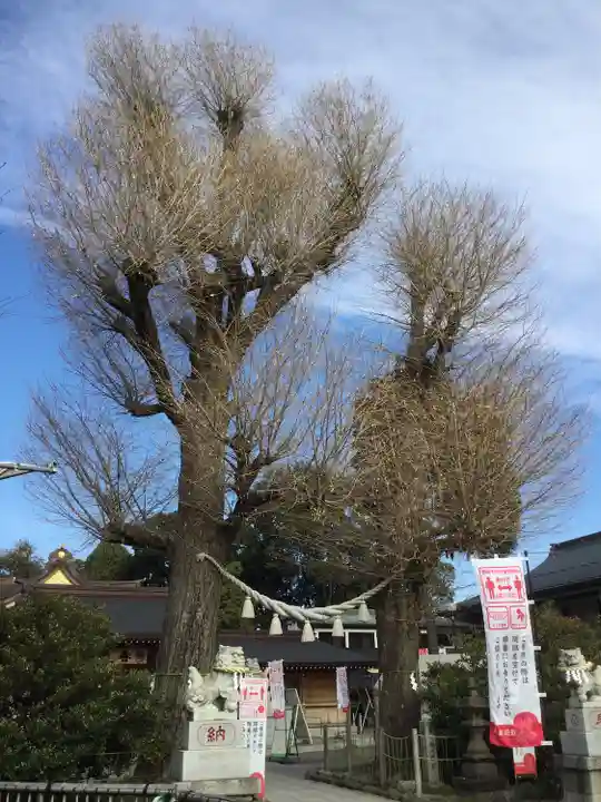 亀ケ池八幡宮の自然