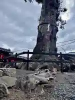 日吉御田神社の{uncategorized: "未分類", other: "その他", undefined: "問題あり", building: "その他建物", grave: "お墓", sacred_gate: "鳥居", guardian: "狛犬", statue: "像", buddha: "仏像", history: "歴史", nature: "自然", garden: "庭園", animal: "動物", pagoda: "塔", temizu: "手水舎", mountain_gate: "山門・神門", sanctuary: "本殿・本堂", subordinate: "末社・摂社", art: "芸術", scenery: "景色", jizo: "地蔵", ema: "絵馬", goshuin: "御朱印", omikuji: "おみくじ", items: "授与品その他", amulet: "お守り", goshuincho: "御朱印帳", eats: "食事", festival: "お祭り", votive_dance: "神楽", shichigosan: "七五三参", wedding: "結婚式", experience: "体験その他", initially: "初詣", around: "周辺", anti_infection: "感染症対策"}