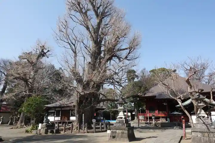 勝福寺(神奈川県)