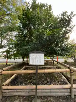 梅宮神社(滋賀県)