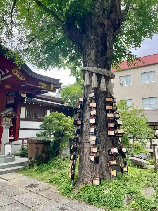 素盞雄神社(東京都)