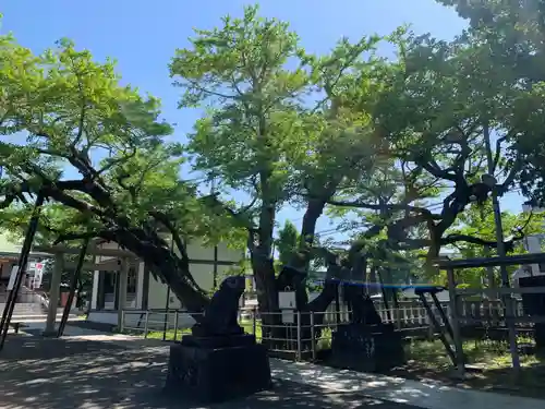 豊受神社(千葉県)