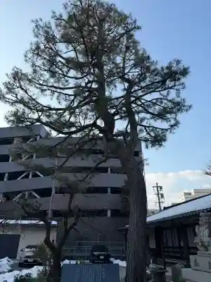平岡野神社の{uncategorized: "未分類", other: "その他", undefined: "問題あり", building: "その他建物", grave: "お墓", sacred_gate: "鳥居", guardian: "狛犬", statue: "像", buddha: "仏像", history: "歴史", nature: "自然", garden: "庭園", animal: "動物", pagoda: "塔", temizu: "手水舎", mountain_gate: "山門・神門", sanctuary: "本殿・本堂", subordinate: "末社・摂社", art: "芸術", scenery: "景色", jizo: "地蔵", ema: "絵馬", goshuin: "御朱印", omikuji: "おみくじ", items: "授与品その他", amulet: "お守り", goshuincho: "御朱印帳", eats: "食事", festival: "お祭り", votive_dance: "神楽", shichigosan: "七五三参", wedding: "結婚式", experience: "体験その他", initially: "初詣", around: "周辺", anti_infection: "感染症対策"}