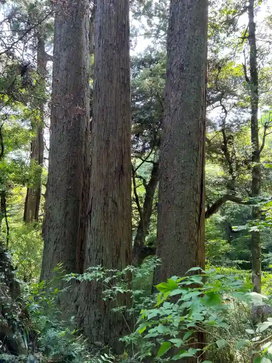 笠森寺(千葉県)