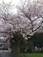 江守神社(福井県)