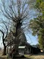 鞆江神社(明地)(愛知県)