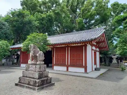 櫻井神社の狛犬