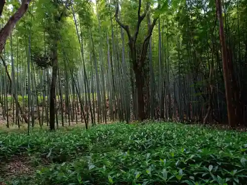 石清水八幡宮(京都府)